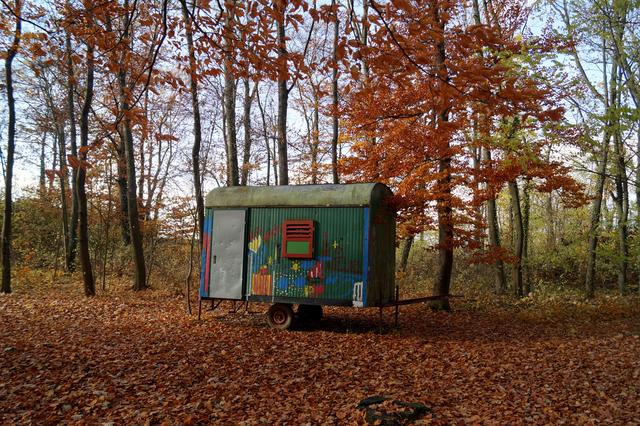 Stadtwald Grünstadt, 11.11.1018