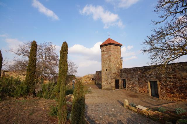 Burg Battenberg, 21.2.2019