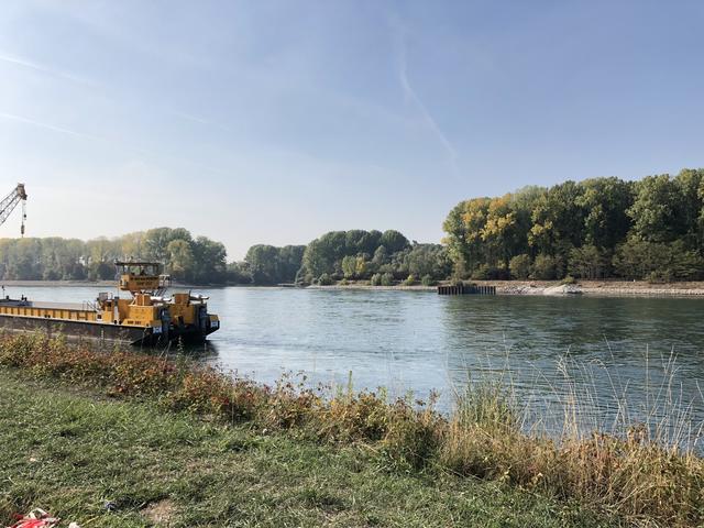 Bergungsarbeiten der versunkenen Lok in Rheinsheim 4.10.2018 | Foto: Sarah Dahl 