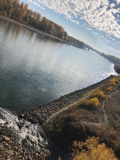 Bild von den Rheinbrücke aus (Rheinsheim-Germersheim) 2019 | Foto: Sarah Dahl