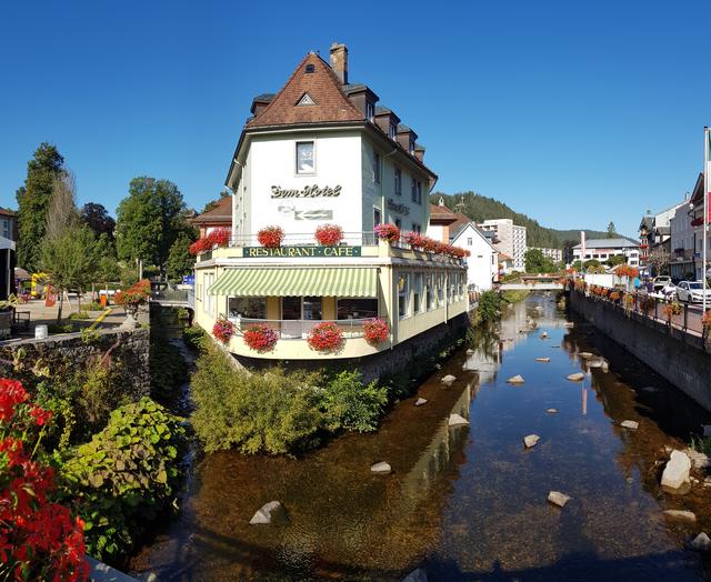 Blick auf St. Blasien | Foto: jow