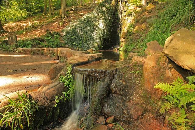 Edenkobener Tal
Juni