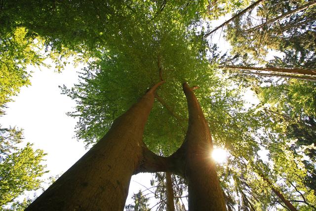 Edenkobener Tal
August 