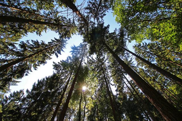 Edenkobener Tal
Juli