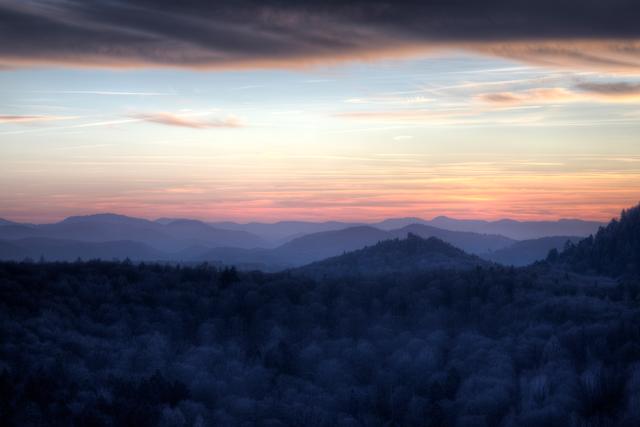 Pfälzer Wald - Februar