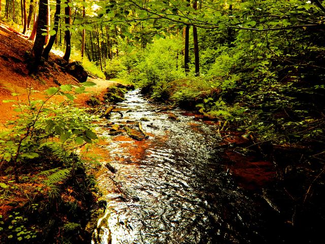 Wasserlauf im Karlstal 
