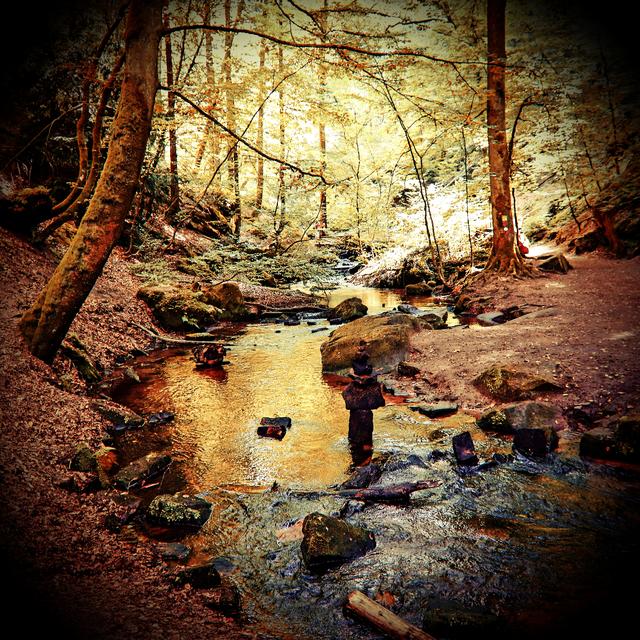 Karlstalschlucht Nähe Trippstadt Landkreis Kaiserslautern 