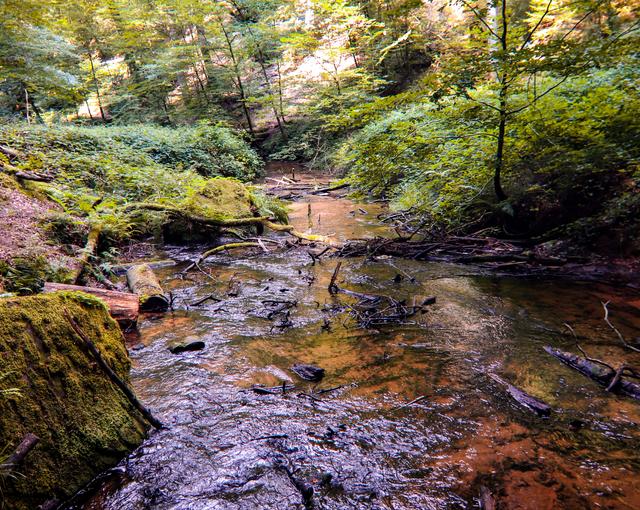 Das Karlstal erkunden