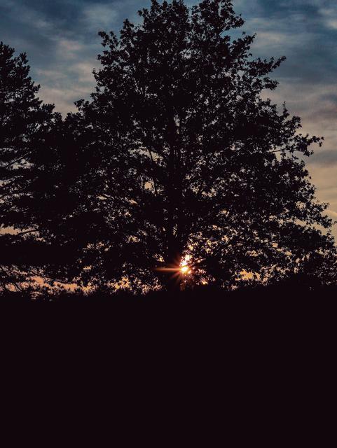 Sonnenuntergang in der Mehlinger Heide 