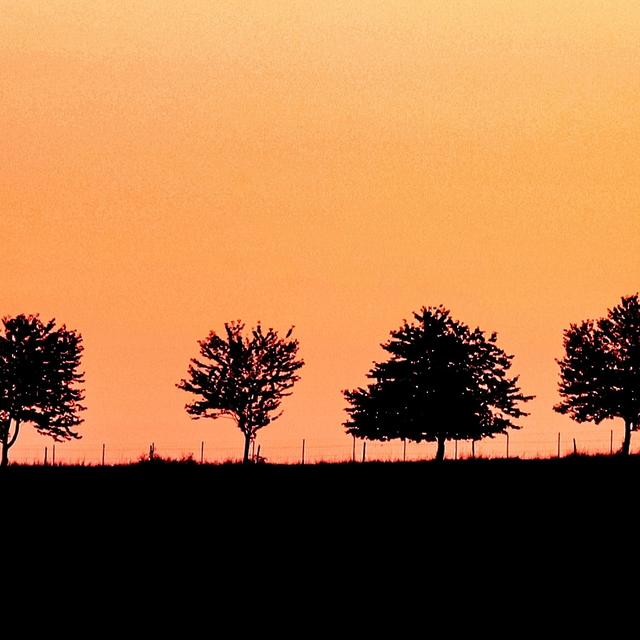 Sonnenaufgang in Weilerbach 