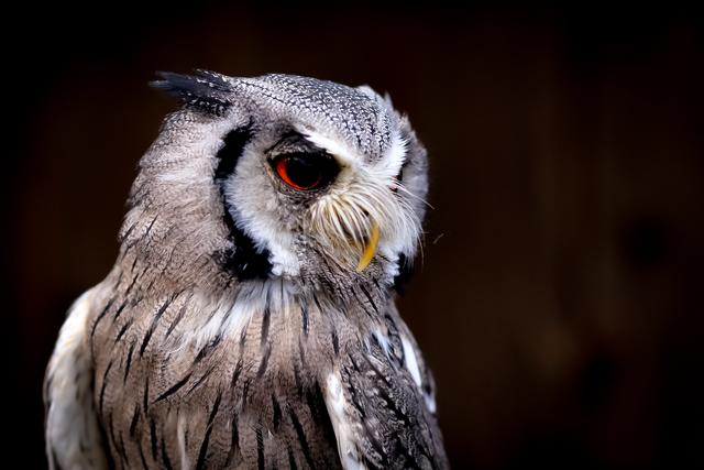 Kauft im Wildpark Potzberg 
