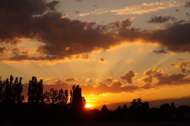 Sonnenuntergang in Karlsruhe 
