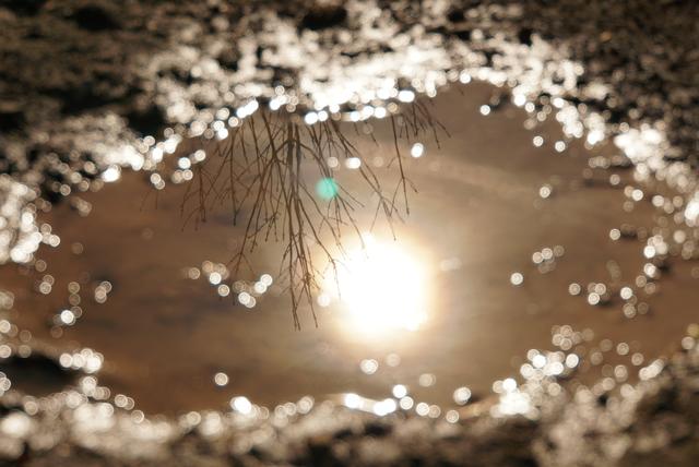 Erste Sonnenstrahlen // Hermannsberg, Oberweiler im Tal // Februar