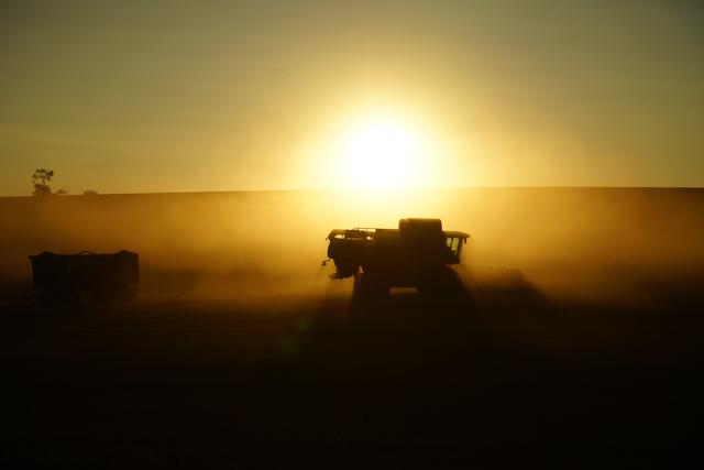 Mystische Kornernte auf einem staubigem Feld
Aufgenommen bei Lohnsfeld | Foto: Stephen Wüstenberg Photographie - Wartenberg-Rohrbach