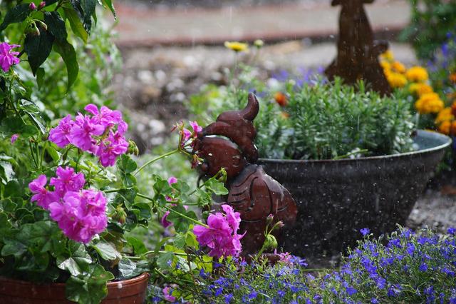 Regenschauer im Juli