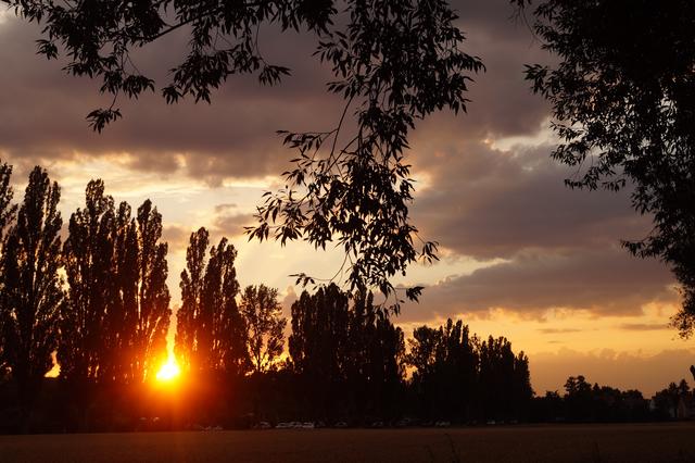 Abendstimmung in Karlsruhe-Rüppurr 