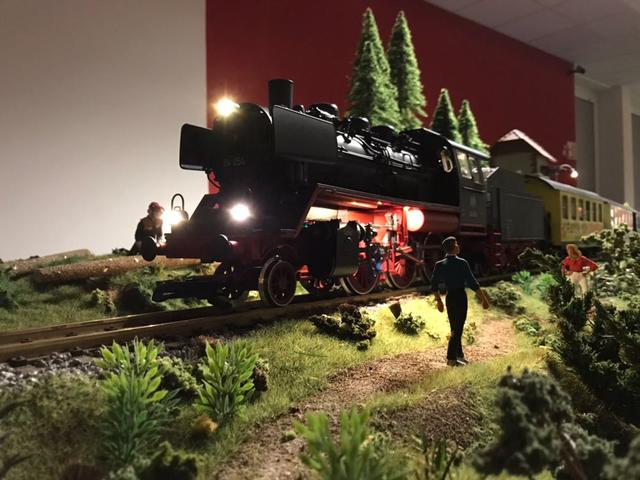 „Eisenbahn-Romantik“ gibt es beim verkaufsoffenen Sonntag in der Schlossgalerie. Hier haben die Gartenbahner Südwest wieder ihre Anlagen aufgebaut. Foto: privat