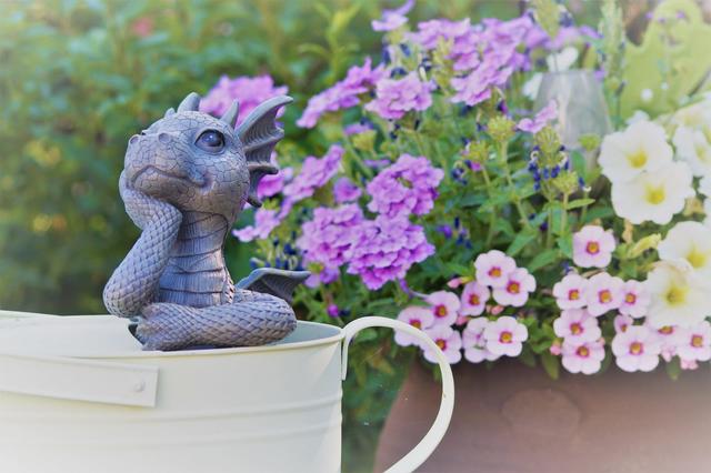 Im heimischen Garten im August 2018