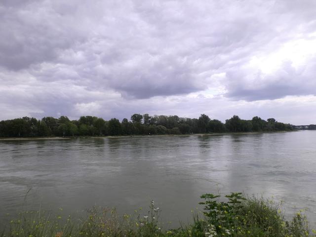 Blick auf den Rhein von Speyer