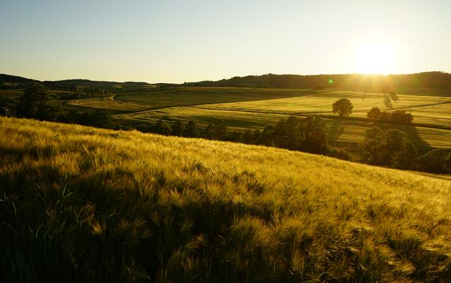 Hochsommerlicher Sonnenuntergang in warmen Farben 
Aufgenommen im Potzbacher Tal zwischen Potzbach und Lohnsfeld | Foto: Stephen Wüstenberg Photographie - Wartenberg-Rohrbach