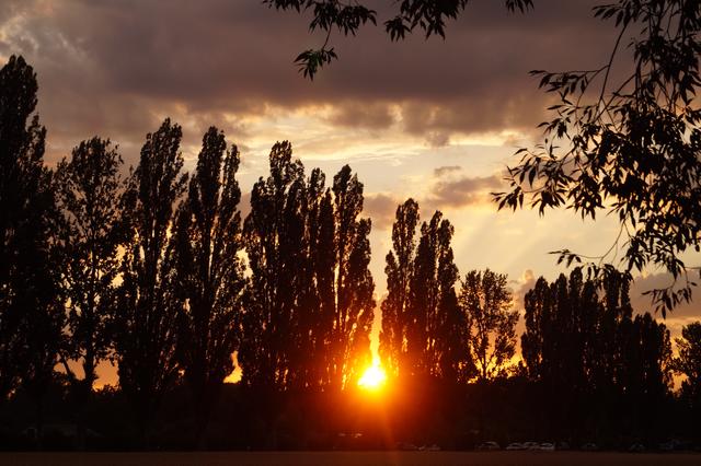 Abendstimmung in Karlsruhe-Rüppurr 