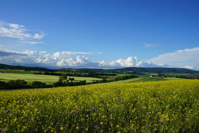 Frühling um den Donnersberg
Aufgenommen beim Schmitterhof / Lohnsfeld | Foto: Stephen Wüstenberg Photographie - Wartenberg-Rohrbach