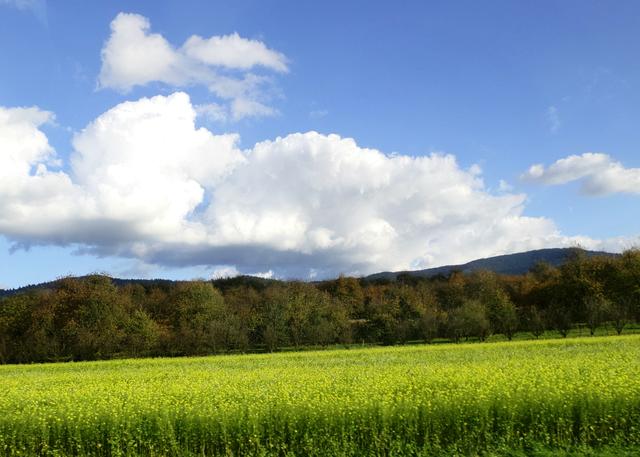 Im Sommer auf der B3...