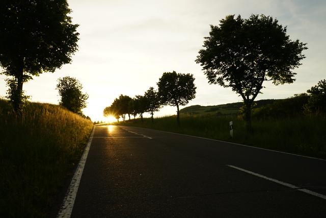 Sunsetroad - Sonnenuntergang auf der Zufahrtsstrasse zum Inkeltalerhof
Aufgenommen in Rockenhausen | Foto: Stephen Wüstenberg Photographie - Wartenberg-Rohrbach