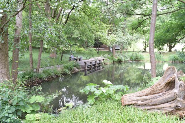 Luisenpark, Mannheim, August | Foto: Claudia Charlotte Ernst