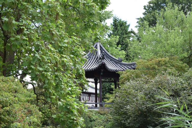 Luisenpark, Mannheim, August | Foto: Claudia Charlotte Ernst