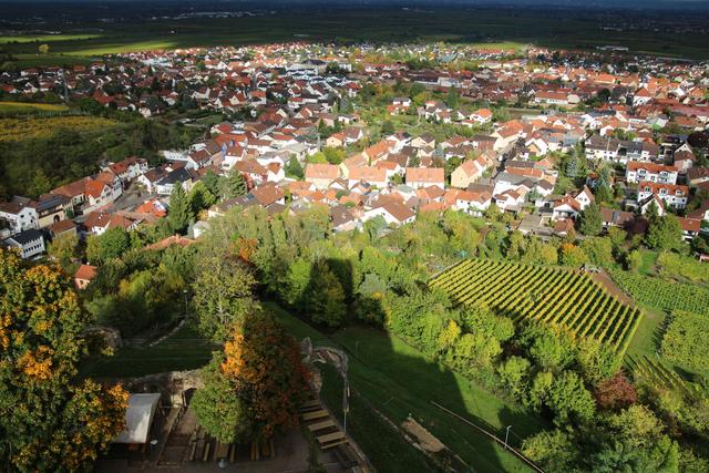 Schatten der Wachtenburg mit Blick auf Wachenheim | Foto: Jonas Beckmann