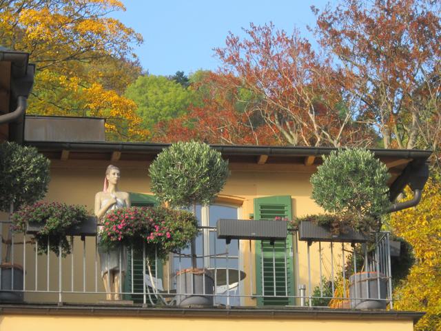 Heidelberg, Ziegelhäuser Landstraße, Oktober | Foto: Claudia Charlotte Ernst