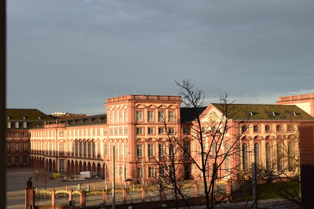 Schloss, Mannheim, März | Foto: Claudia Charlotte Ernst