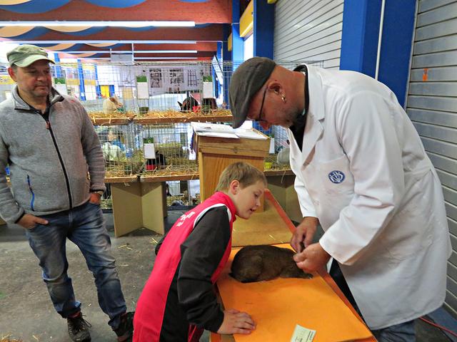 Der siebenjährige Philipp Schmitt lässt sich alles genau erklären | Foto: Brigitte Melder