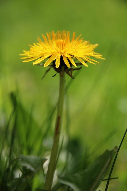 Sommer | Foto: Sabine Schnur
