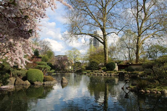 Frühling im Japanischen Garten, KL | Foto: Sabine Schnur