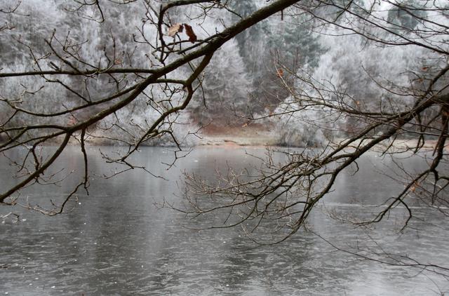 Winter am Vogelwoog, KL | Foto: Sabine Schnur