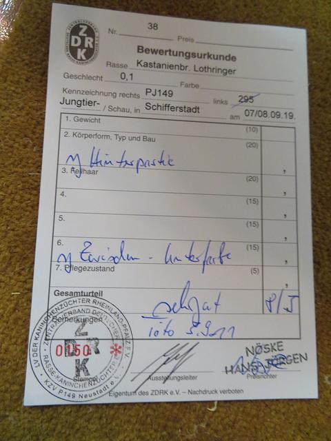 So sieht eine fertige Urkunde aus | Foto: Brigitte Melder