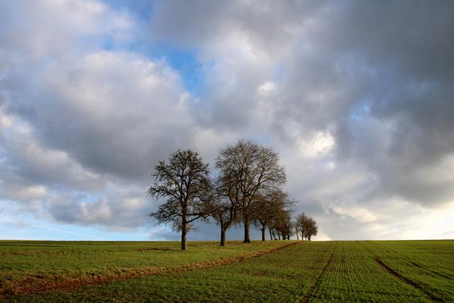 Winter - Morlautern | Foto: Sabine Schnur