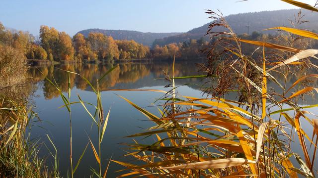 Herbst - Silbersee, Landstuhl | Foto: Sabine Schnur