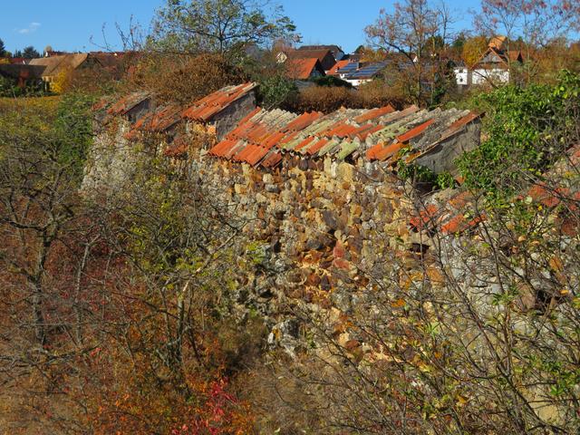 Burg Battenberg | Foto: Brigitte Melder