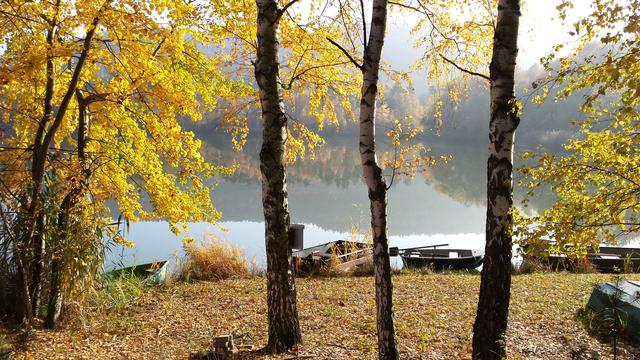 Herbst - Silbersee, Landstuhl | Foto: Sabine Schnur