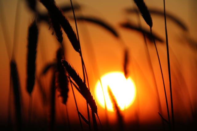 Sommer | Foto: Sabine Schnur