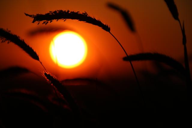 Sommer | Foto: Sabine Schnur