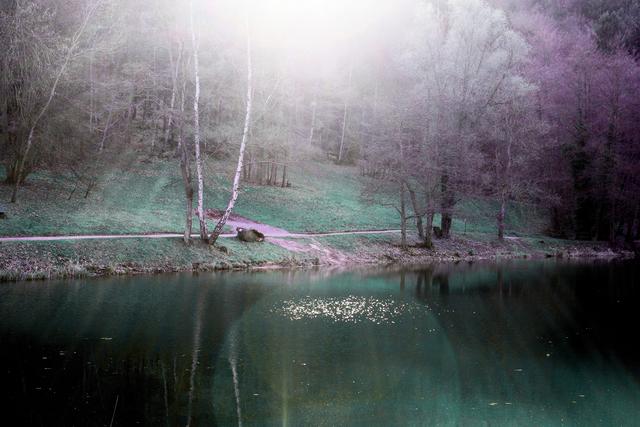 Mystische Stimmung am Hilschweiher im Edenkobener Tal (im April).