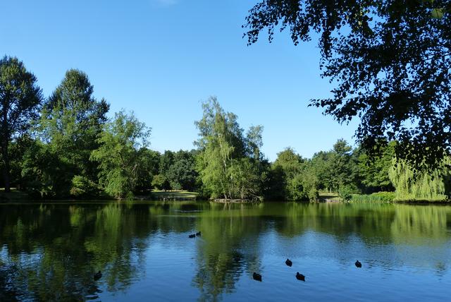 Sommer - Volkspark, KL | Foto: Sabine Schnur