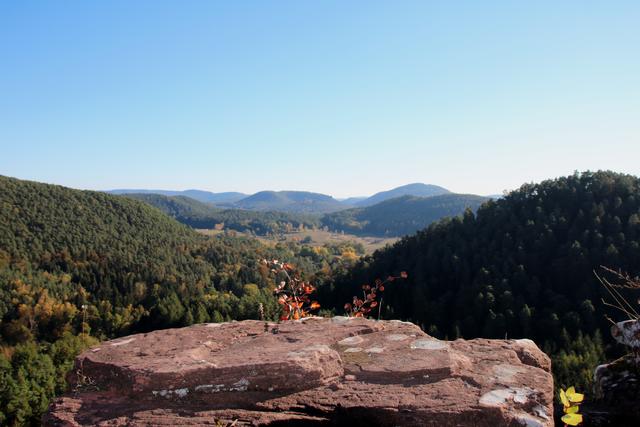 Sommer - Blick von der Burg Altdahn auf den Wasgau | Foto: Sabine Schnur