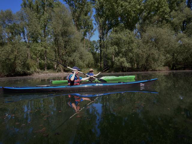 Der Lingenfelder Altrhein im Mai | Foto: Michaela Kastl-Bastian