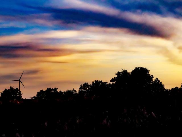 Der Sonnenuntergang in der Mehlinger Heide August 2019 