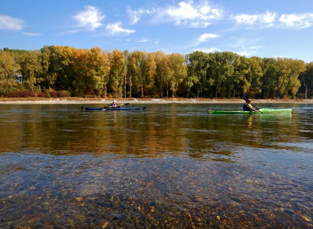 Der Rhein bei Germersheim im Oktober 2018 bei Niedrigwasser | Foto: Michaela Kastl-Bastian